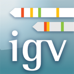 Integrative Genomics Viewer(IGV)