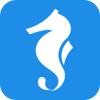 hippius-fe-code-helper