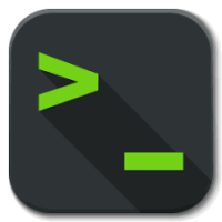 SSH Terminal