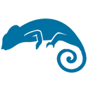 Kameleoon Snippets