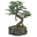 Bonsai