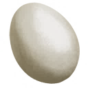 Egg Tools