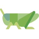 TypeScript Code Explorer