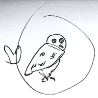 OwlApp 🦉