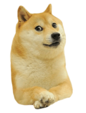 Doge