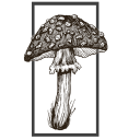 mushroom