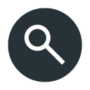 Web Search