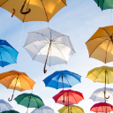 Parasol Theme