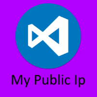My Public Ip