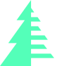Timber Snippets