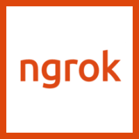 Ngrok Http Client