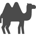 Perl insert package