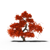 September Steel