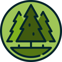 Forest Focus
